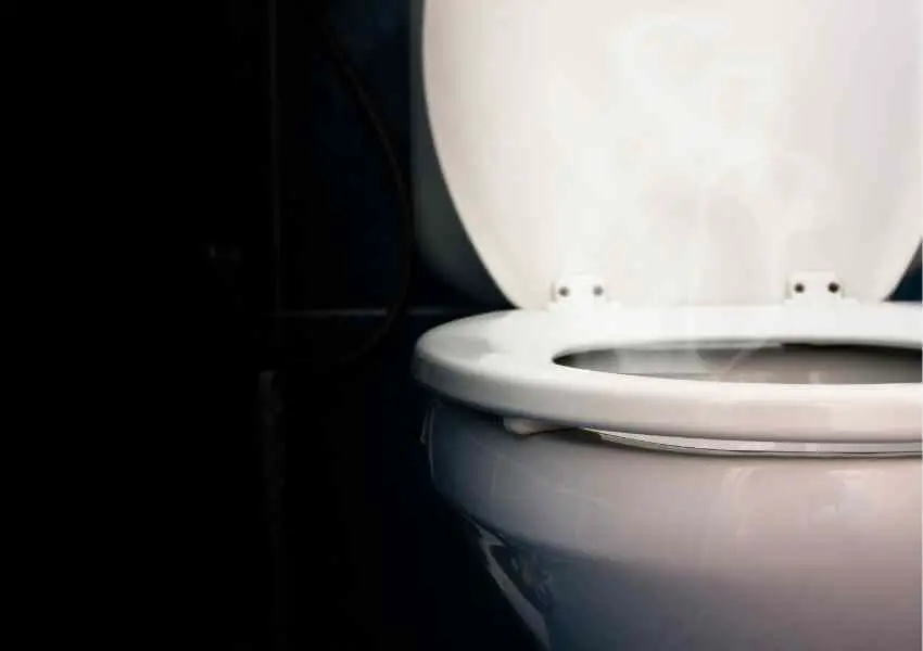 Can Toilet Water Evaporate