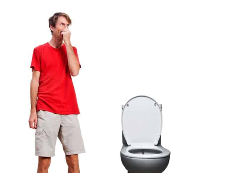 The Tallest Toilets For The Elderly, Disabled & Tall Persons