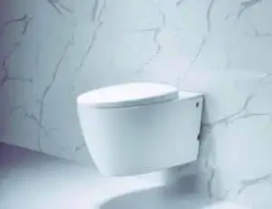 how-to-flush-tankless-toilet-without-water